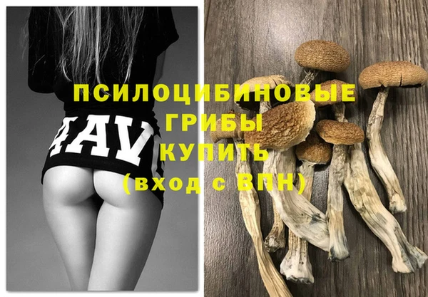 амф Алзамай