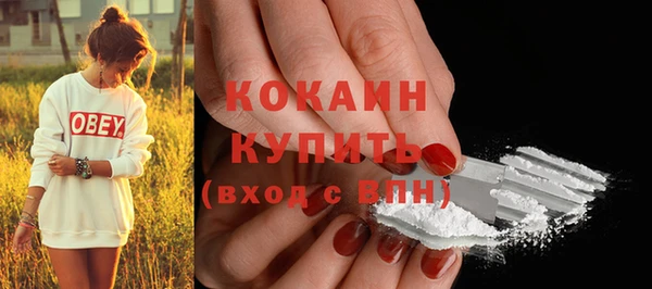 apvp Абаза