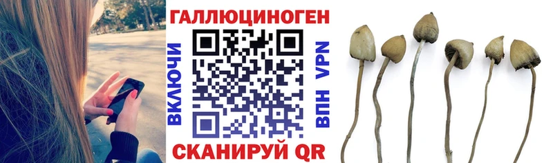 наркошоп  мега ТОР  Галлюциногенные грибы Psilocybine cubensis  Тюмень 