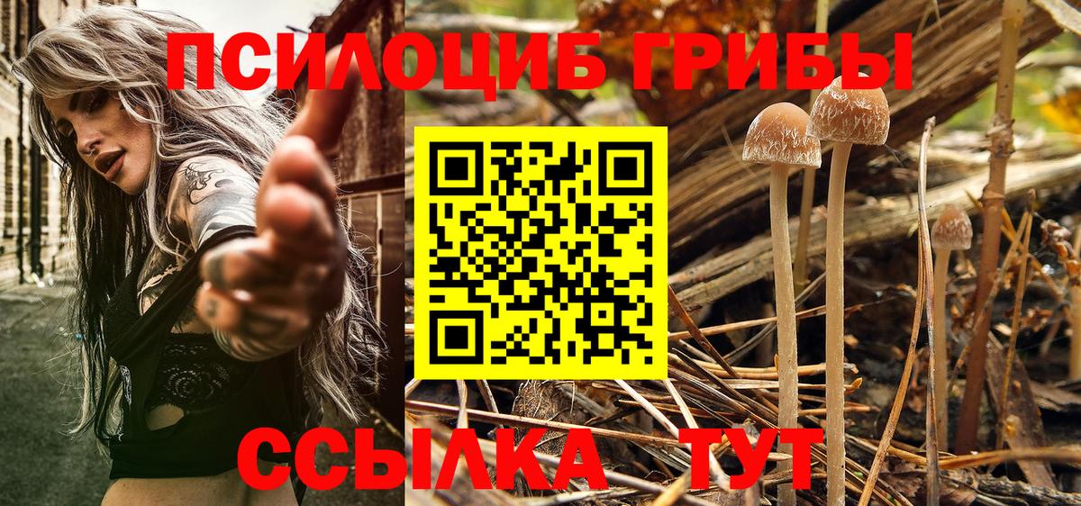 Псилоцибиновые грибы MAGIC MUSHROOMS Тюмень